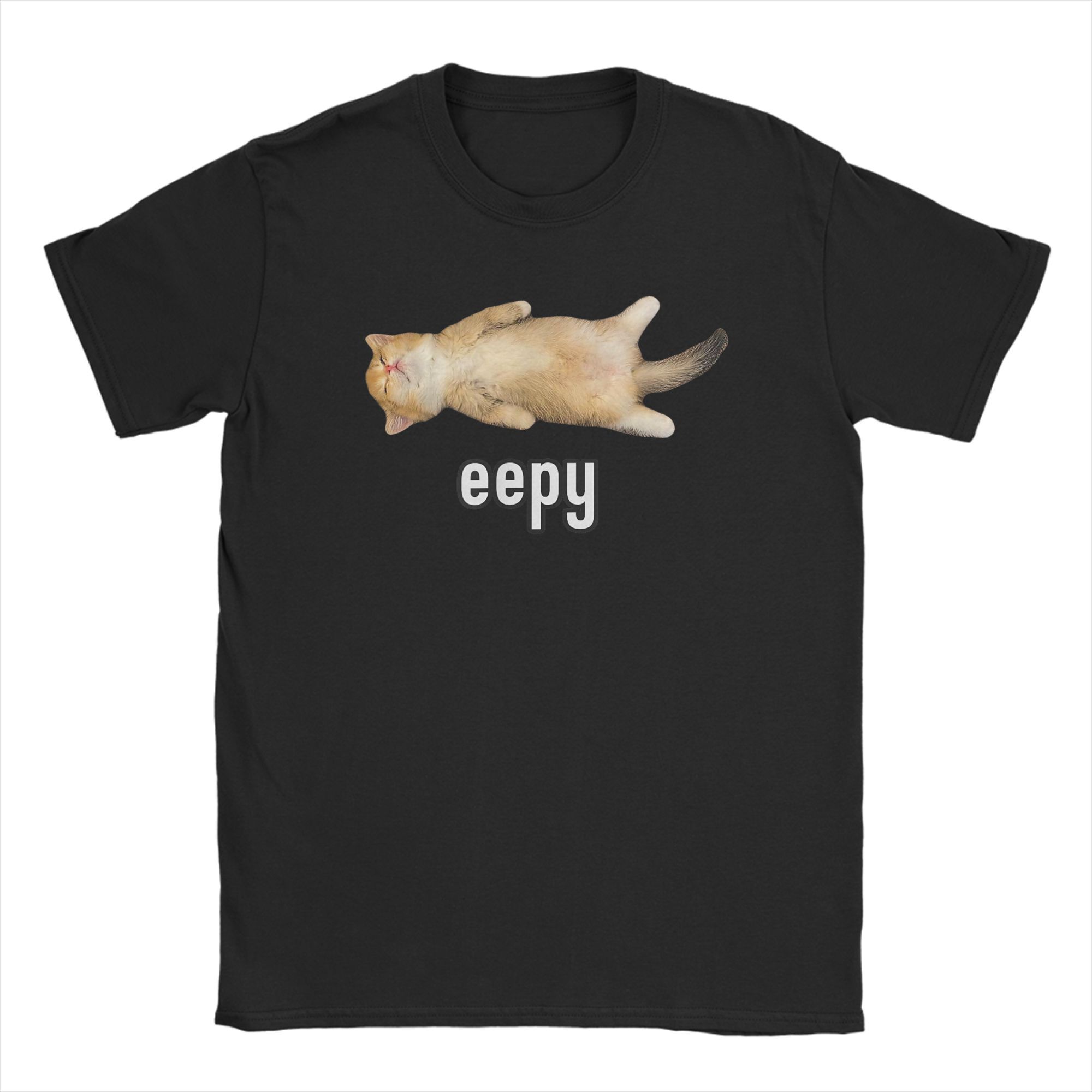 Summer Clothing Ideas For Women - レディース エイプキャット Tシャツ シリー スリーピーキャット ミーム