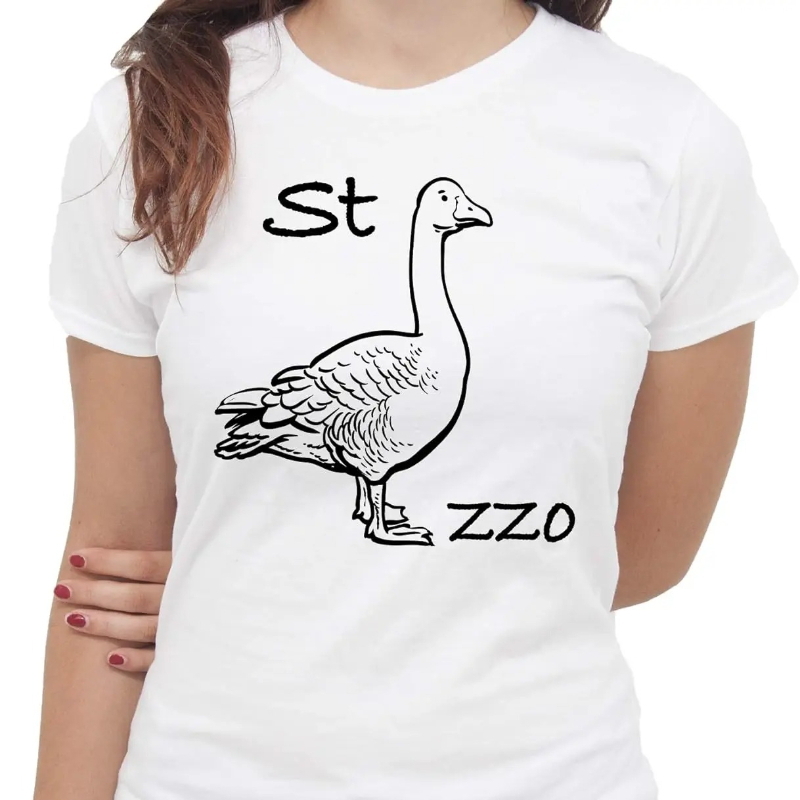 IMage Goose Rebus Tシャツ面白い Tシャツ - Summer Clothing Images のレビューと価格
